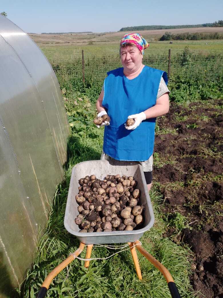 Гарденотерапия