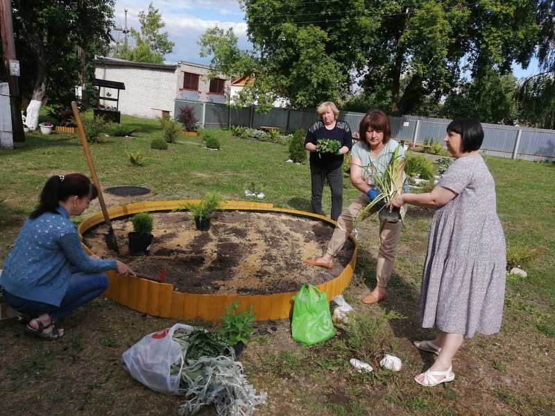    «Ветеранский дворик» -уют и комфорт.