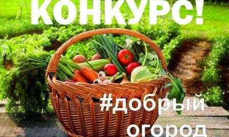 Всероссийская акция Добрый огород