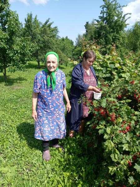 Акция «Летние хлопоты»