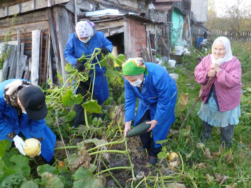 Помощь в уборке урожая