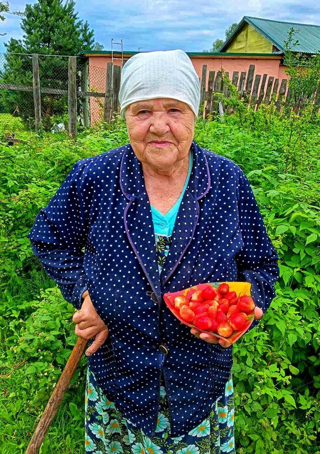 «Поспела первая клубника, душистая и вкусная!»