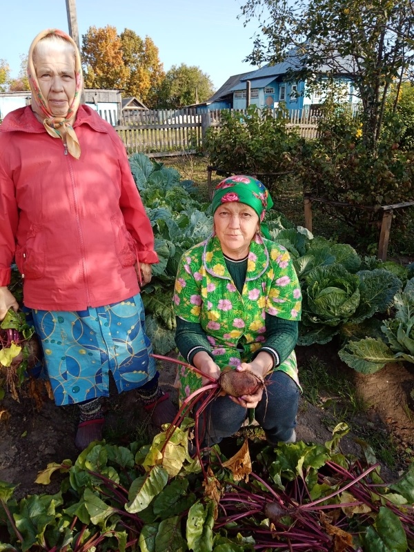 Свекла - очень полезный и доступный круглогодичный продукт.