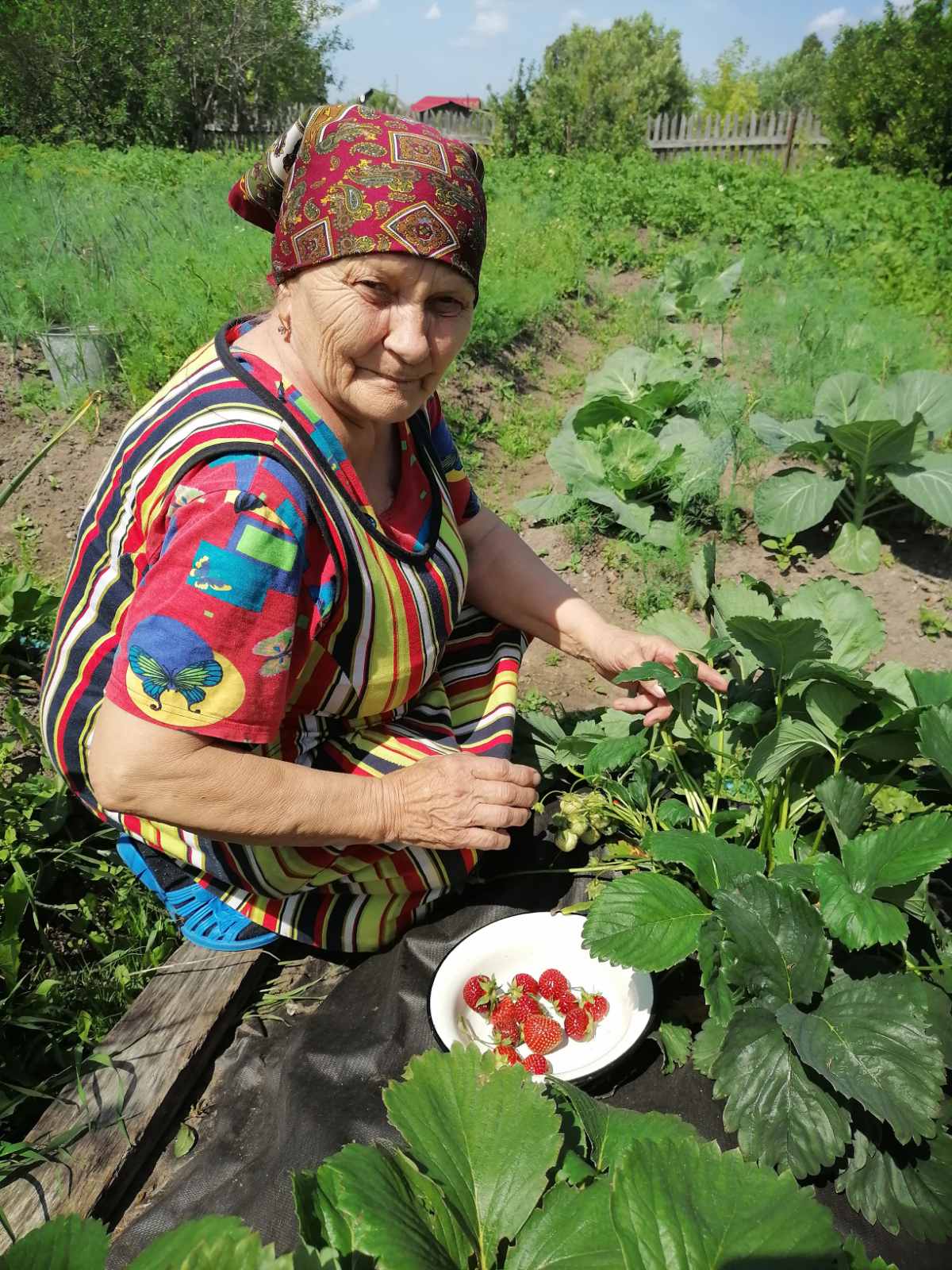 Вкусные и полезные ароматы лета